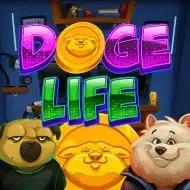 Doge LifePenguinking game thumbnail